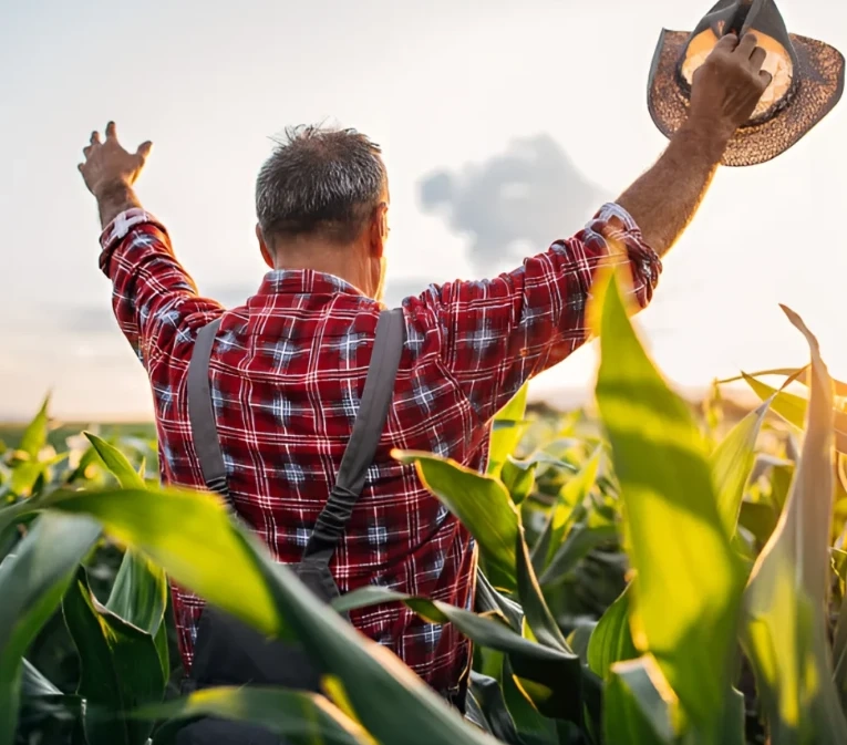 Farmland Fencing Arizona: Reliable Solutions from The AZ Fence Company