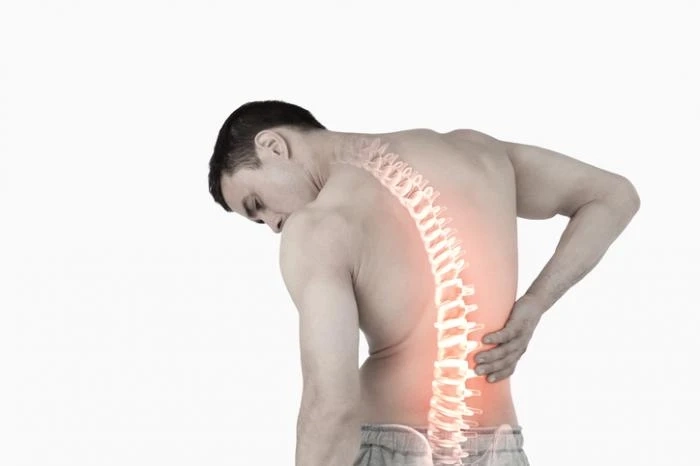 What Causes Low Back Pain?