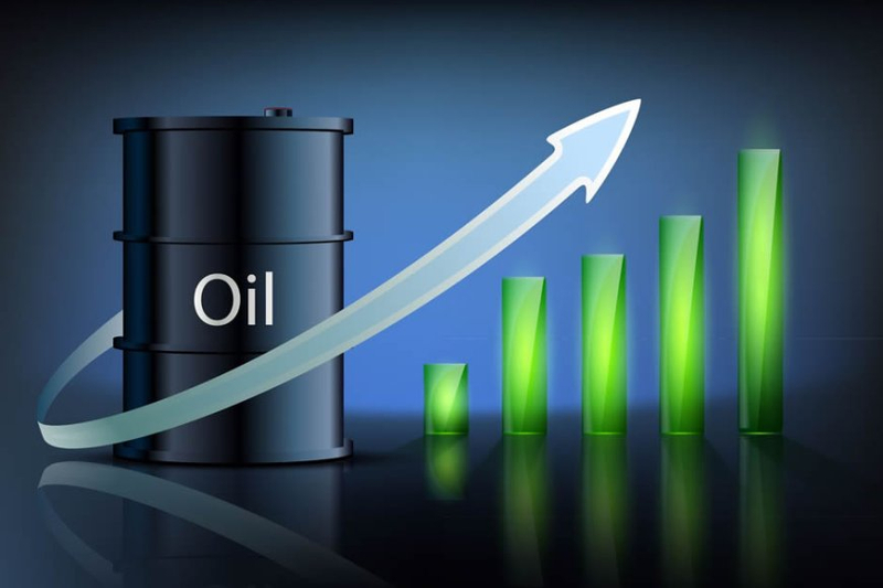 Unveiling the Allure of Oil and Gas Investment and Mineral Consultancy in the USA