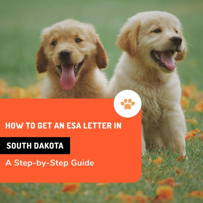 How to Get a Legitimate Emotional Support Animal (ESA) Letter in South Dakota