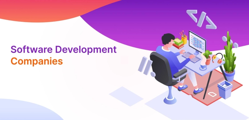 How to Choose a Top Software Development Company in India: What to Look for in 2025?