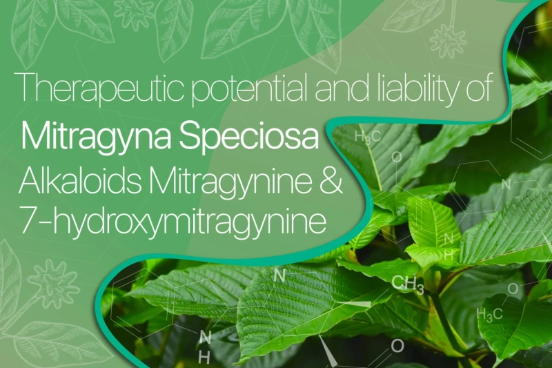 Therapeutic potential and liability of the Mitragyna speciosa (kratom) alkaloids