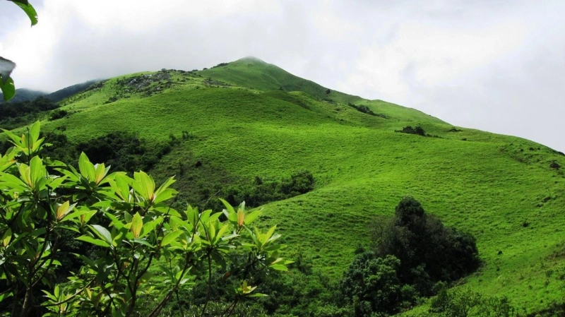 A Winter Trek to Kumara Parvatha - Karnataka's Toughest Trek