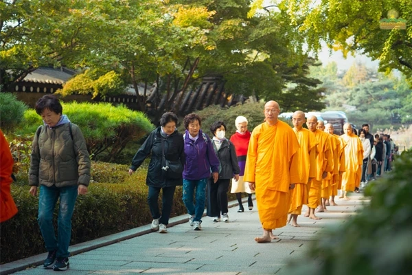 A 30-Day Walking Plan That Turns Movement Into a Moving Meditation