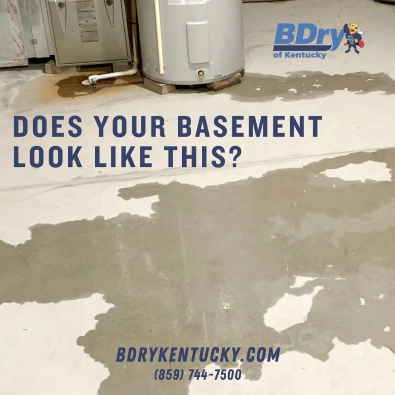 The Day I Found Water Where It Definitely Shouldn't Be