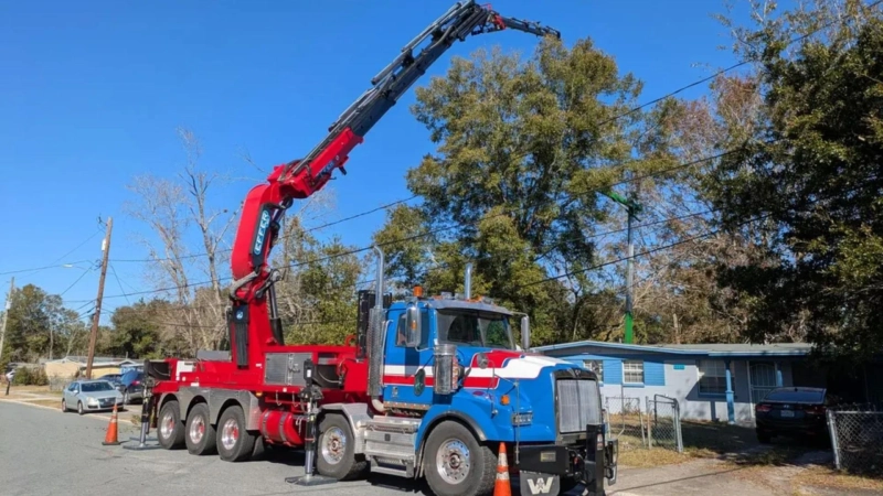 How Commercial Tree Services Protect Your Property Investment in Jacksonville?