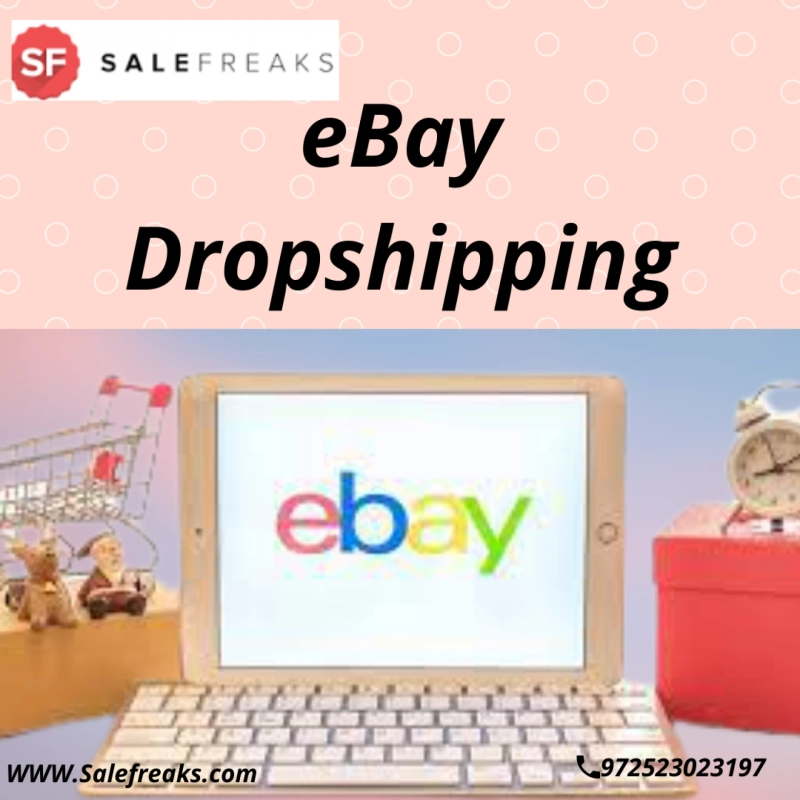 How to Choose The Dropshipping Software For Becoming The Best eBay Dropshipper