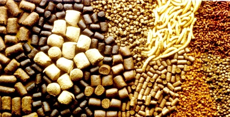 Animal Feed Antioxidants Market Embraces Technology to Enhance Shelf Life and Animal Performance