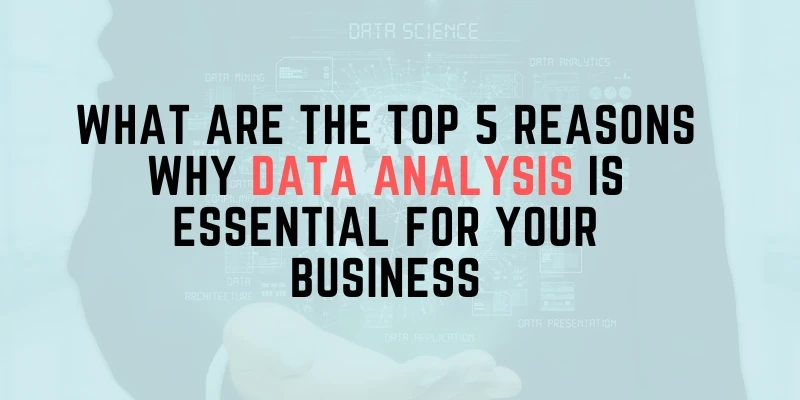 what are the top 5 reasons why data analysis is essential for your business