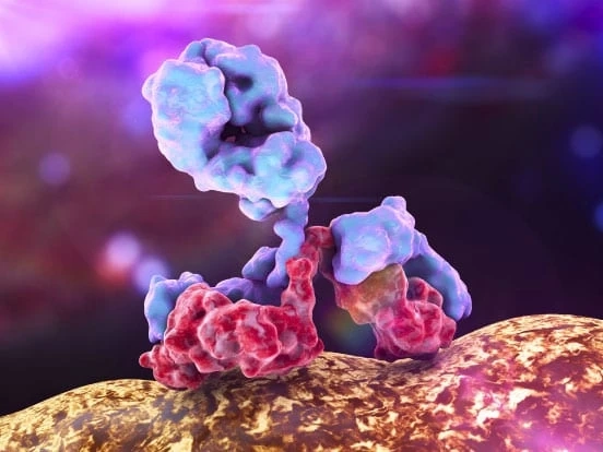 The Demand For Research Antibodies Is Growing As Healthcare Research Investments Increase Around The World