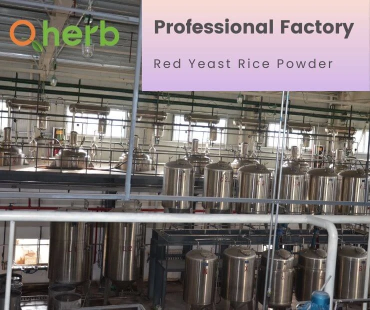Everything that a person must know regarding the consumption of the red yeast rice
