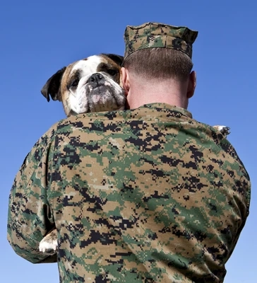 Why being a Dog Owner is Awesome