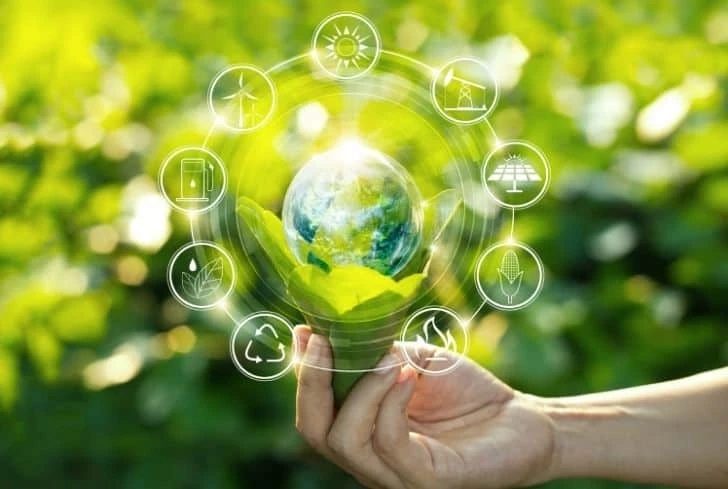 What is a Carbon Offset and How Does it Work?