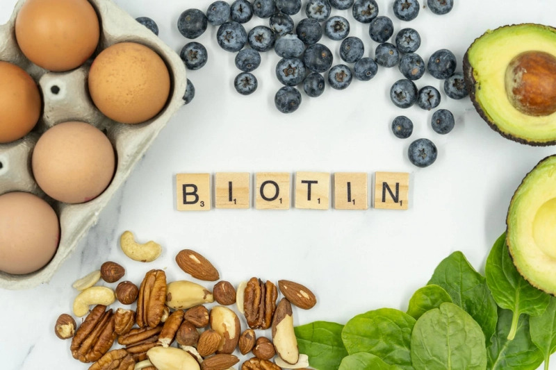 Top Best Food for Hair Growth