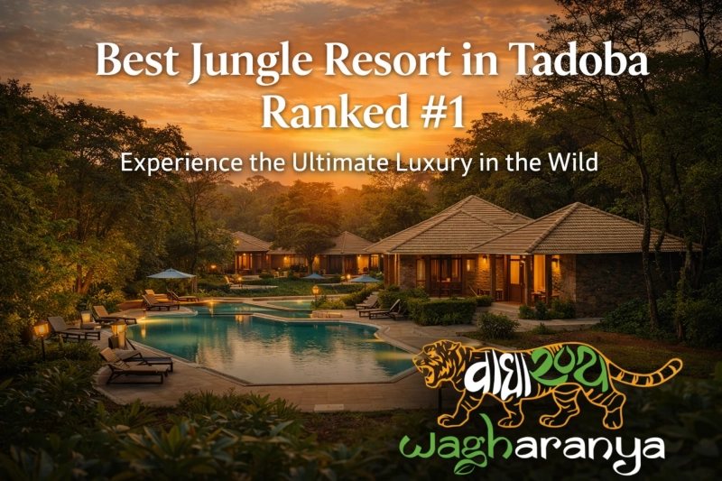 Best Jungle Resort in Tadoba Ranked #1 — Experience the Ultimate Luxury in the Wild