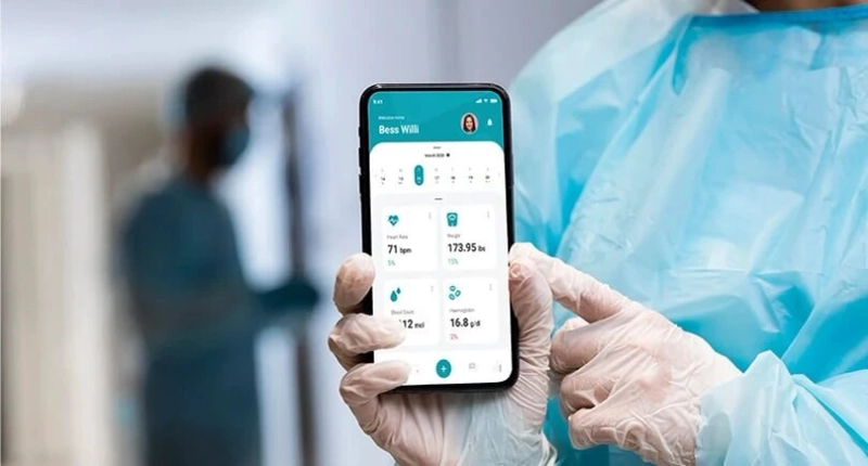 What is Healthcare Software Developer?