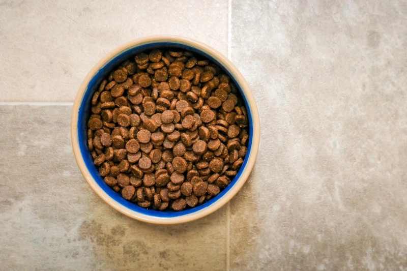 Organic and Natural Pet Food Market Size, Share, Growth, Top Companies and Global Demand 2024-2032