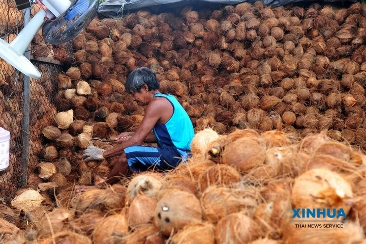 Thai SMEs join the Chinese International Import Fair Hope to recover from COVID poisoning