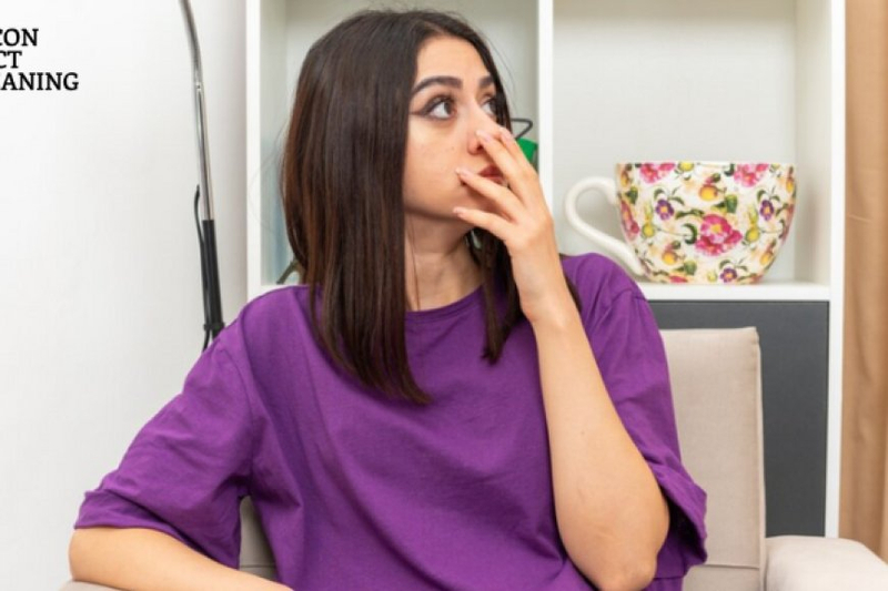 How Can I Make My Air Ducts Smell Better?