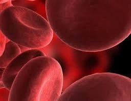 Viral Marker Test - The What & The Why