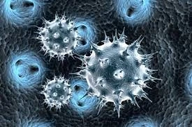 Infectious Disease Therapeutics also include vaccines; which help to prevent many common infectious