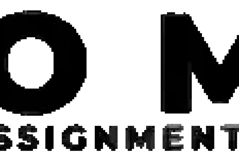 Unlocking Success: Professional Assignment Assistance in London