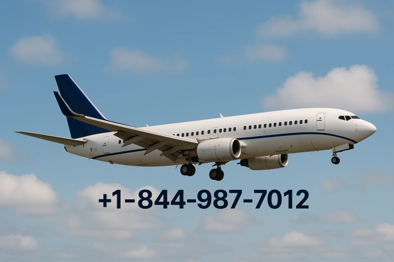 ||Live|| Travelocity®️ Customer Service™️ USA Contact Numbers: A Step by Step Guide 2025
