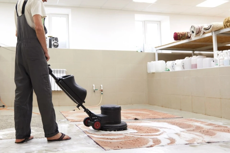 Strategies For Carpet Maintenance in Busy Homes