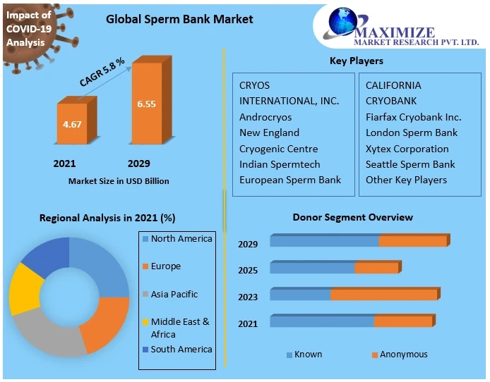 Wellness Tourism Market Trends, Industry Size Forecast 202