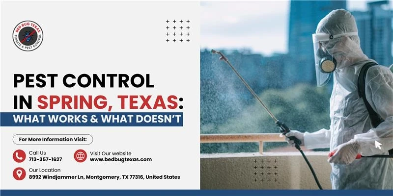 Pest Control in Spring, Texas: What Works & What Doesn’t