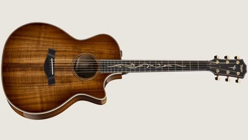 Features of Acoustic Guitars