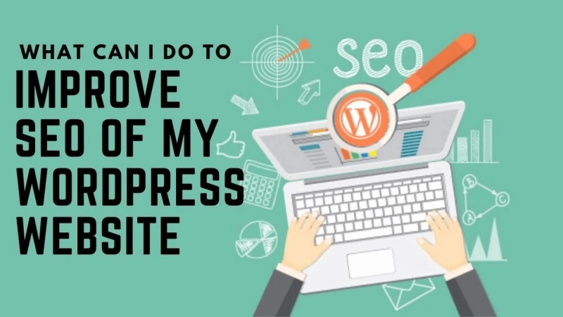 WordPress Website optimization Master