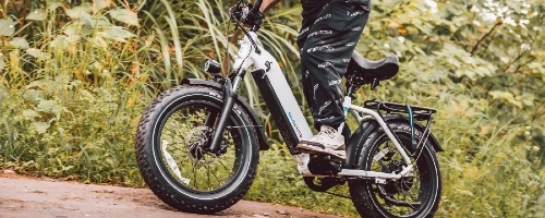 Long Range Fat Tire Step Thru Ebike- Magicycle Ocelot Pro