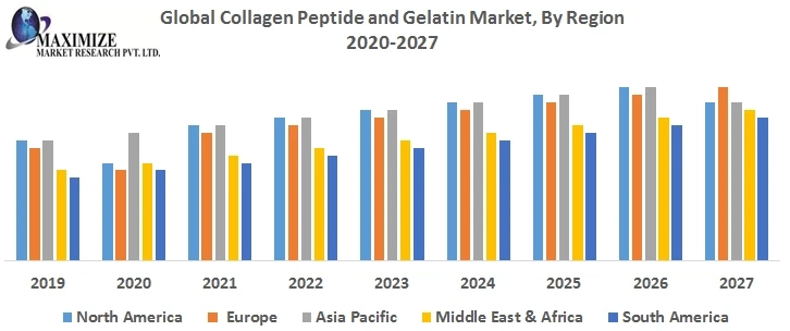 Global Collagen Peptide and Gelatin Market