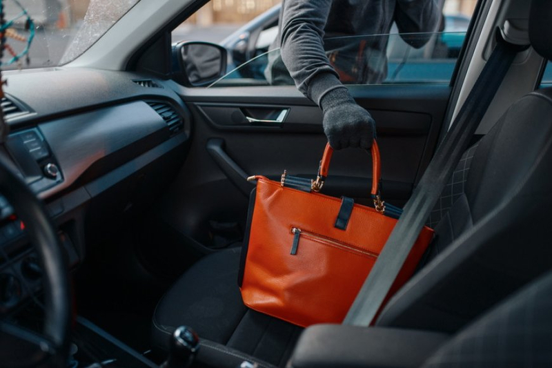 What Are The Roles Of A Theft Lawyer?