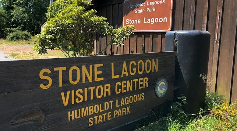 Discovering Natural Beauty at Agate Beach County Park & Stone Lagoon Visitor Center