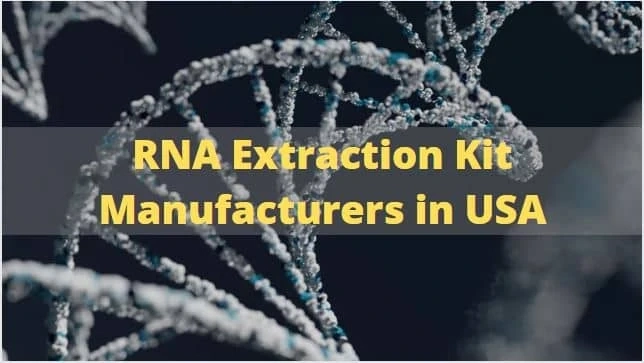 Benefits of Magnetic Beads Based Viral DNA/RNA Extraction Kit over Traditional Methods