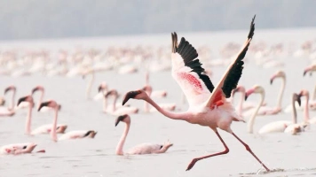 Experiences You Can’t Miss: A Creative and Nature-Filled Journey in Mumbai