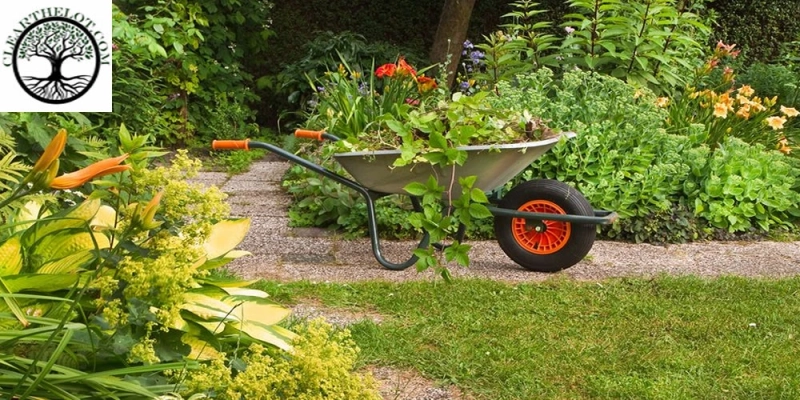 Garden Clearance: How Garden waste is Cleared & Transformed into Carbon-based Fertilizer in London