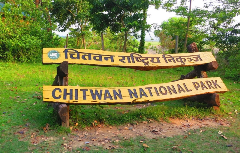 How to Get Chitwan National Park from Kathmandu?