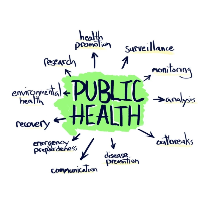 Public Health and Community Work in Different European Countries