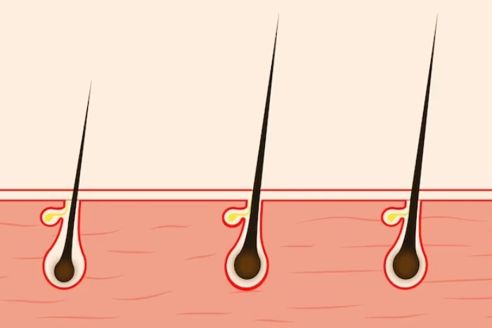 10 Ways to Grow Your Hair Faster Than Ever!