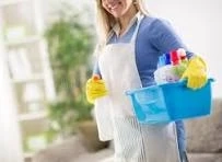 what is the going rate for house cleaning Post 