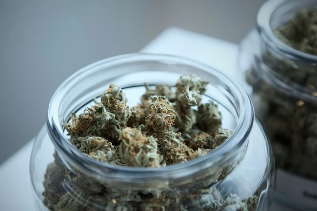 Budget-Friendly Cannabis: How to Make the Most of Popcorn Bud