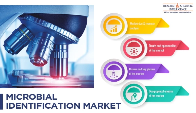 Microbial Identification Market Expected to Boom in Asia-Pacific During 2016—2022