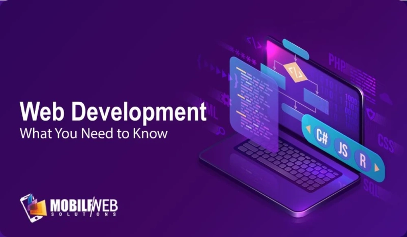 Web Development Companies: An Important Resource for Startups
