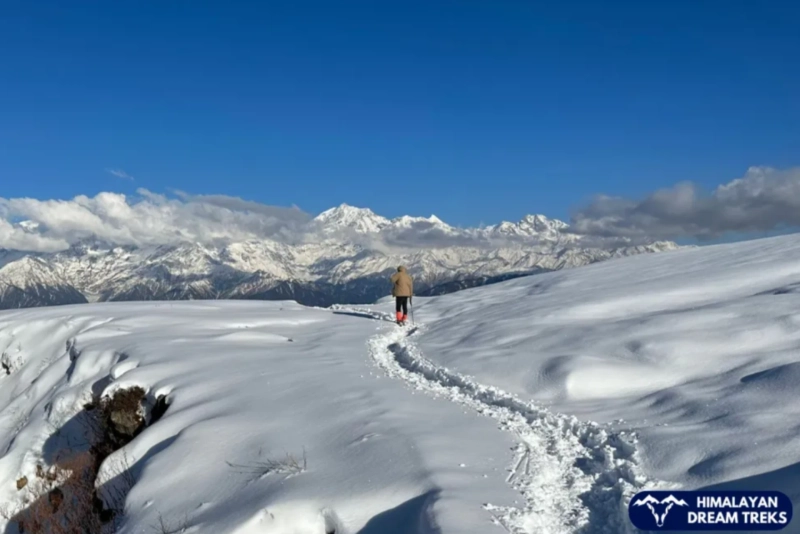 Dayara Bugyal trek in January: Experience Snowy Meadows in Uttarakhand
