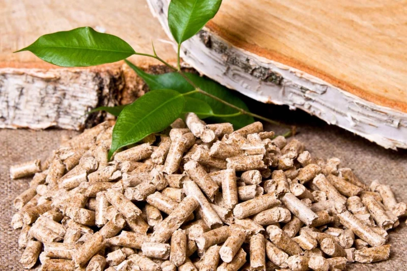 Biomass Pellets: A Renewable Solution for a Sustainable Tomorrow