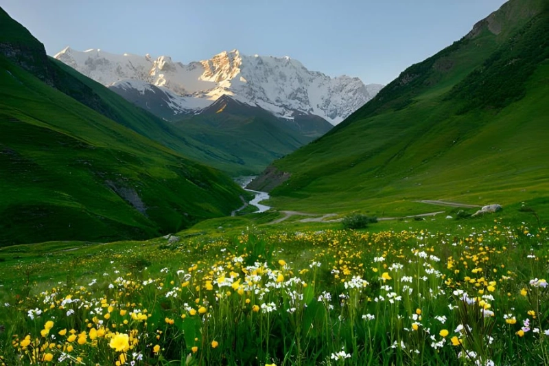 ThTop 5 Stunningly Beautiful Places in Georgia You Have to Visit