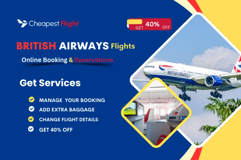 How do I check my British Airways flight status?